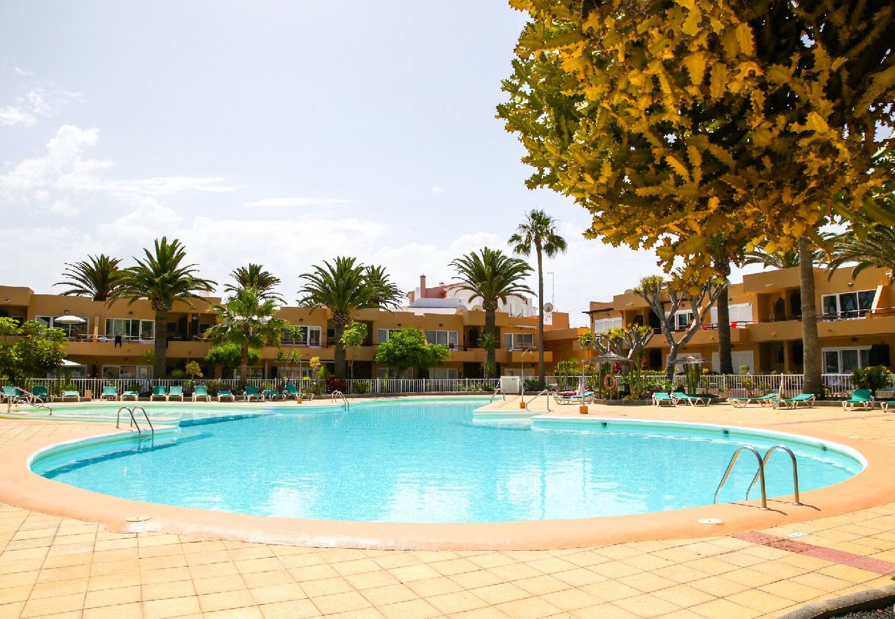 Apartment in Corralejo - Apple
