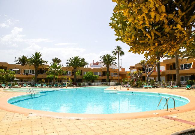 Appartamento a Corralejo - Apple