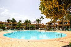 Appartamento a Corralejo - Apple